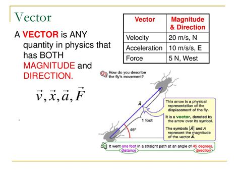 Vectors And Scalars Ap Physics C Ppt Download