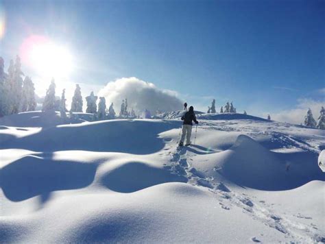 dryden ski hill kasper transportation