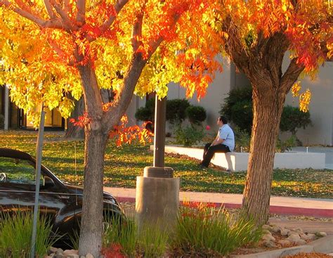 Antelope Valley College | Flickr - Photo Sharing!