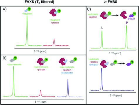 Idealized F Nmr Spectra For Ligand Observed Fragment Screening A