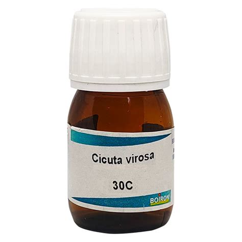 Buy Boiron Cicuta Virosa 30C 20 ml Online at Best Price - Dilutions