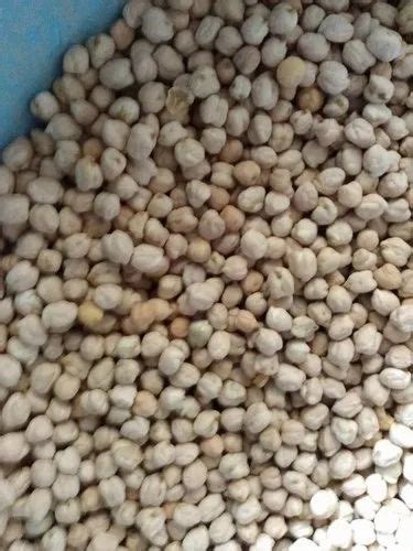 White Kabuli Chana Packaging Type PP Bag Packaging Size 50 Kg At