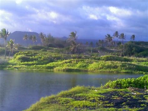 Lagoon, Hawaii. Big Island. | Hawaii travel, All about hawaii, Big island