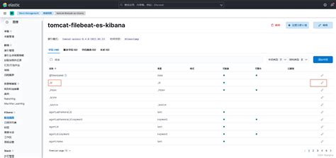 Tomcat Filebeat Es Kibana日志监控配置 Linux中安装es Kibana Filebeat读取tomcat日志 Csdn博客