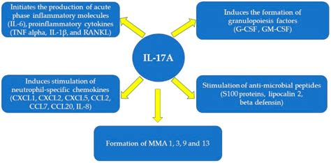 Cimb Free Full Text The Treatment With Interleukin 17 Inhibitors