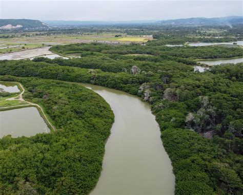 Manglar La Boca Portoviejo Manabí