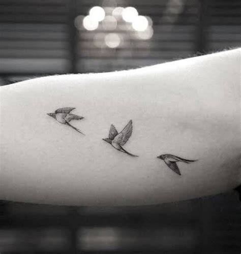 Pin By Fandom Yoga On Tattooooo Swallow Tattoo Small Bird Tattoos