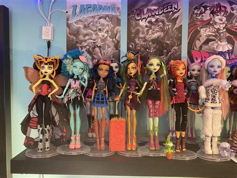 My current collection and display💞 : r/MonsterHigh