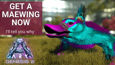 Maewing Taming Feeding Breeding And What To Level Ark Magazine