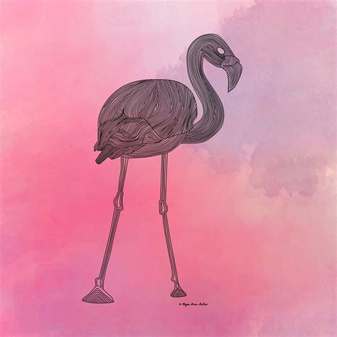 Flamingos On Behance