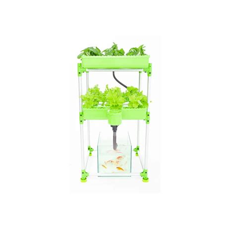 Large Family Aquaponic Fish Farming Set Combined with Outdoor ...
