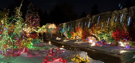 Swingle Shares Best Places to View Christmas Lights in Denver & Fort ...