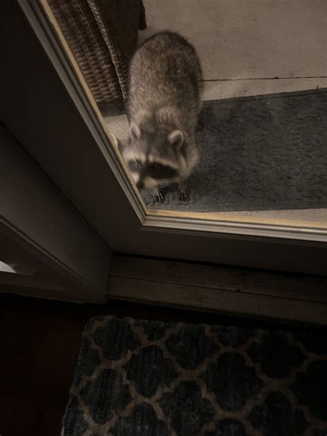 70 E37 C9 D FC97 4 C3 E B510 53 EDD213 C98 F — Postimages