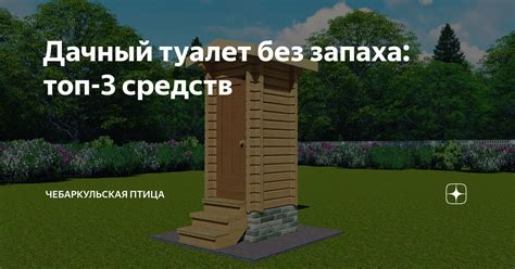 Дачный туалет без запаха: топ-3 средств | Чебаркульская Птица | Дзен