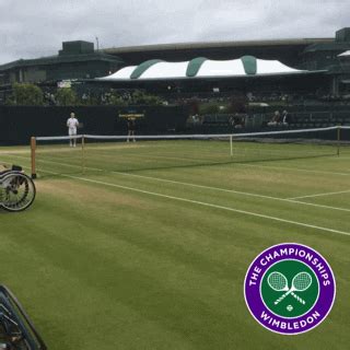 Tennis GIF by Wimbledon - Find & Share on GIPHY