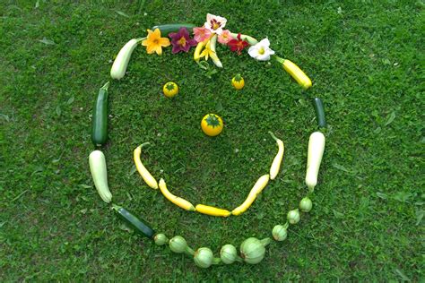 Необычные овощи, которые можно вырастить в огороде