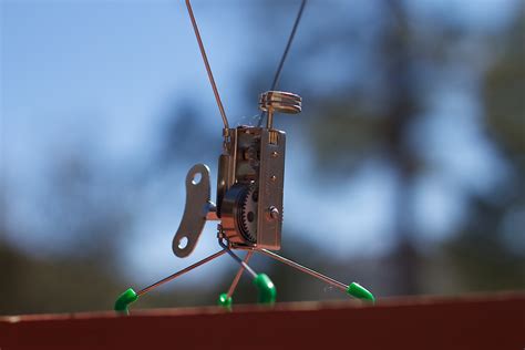 Безплатна снимка : самолет, зелен, червен, превозно средство, цвят ...