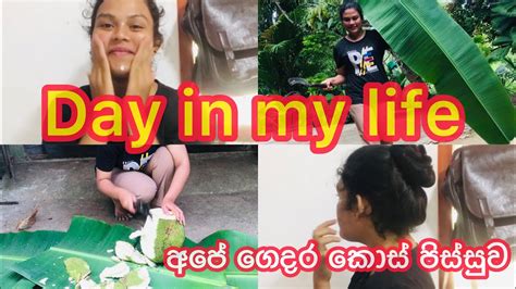 Day In My Life🥰 අද දවස මම ගෙවපු විදිය Dayinmylife Vlog Vlogs