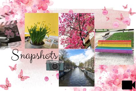 Snapshots | Een inkijkje in de foto's op mijn telefoon - Vaker Vrolijk 