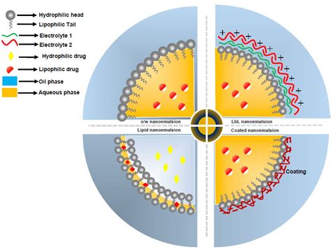 Pictorial Depiction Of The Structure Of The Different Types Of