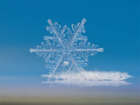 Macro photography of snowflake HD wallpaper | Wallpaper Flare