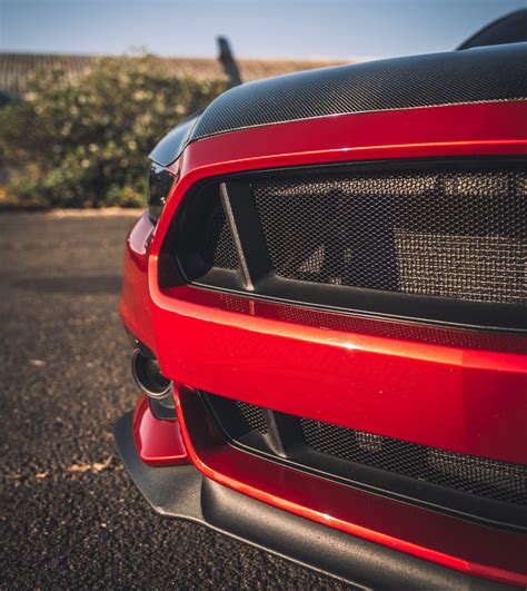 Ford Mustang Gt Mesh Grill Insert Kit By Customcargrills