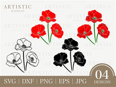 Poppy Svg Poppy Png Poppy Clipart Spring Svg Botanical Etsy Canada