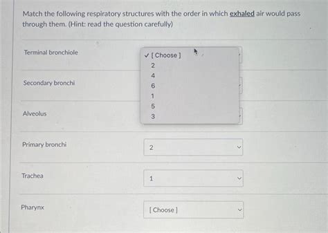 Match the following respiratory structures with the | Chegg.com 