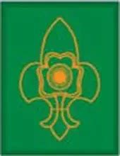 Membership Badge The Bharath Scouts and Guides India Emblem