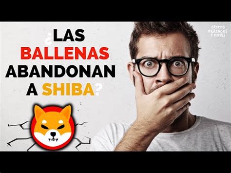 Las Ballenas Abandonan A Shiba Inu Bitcoin Cardano