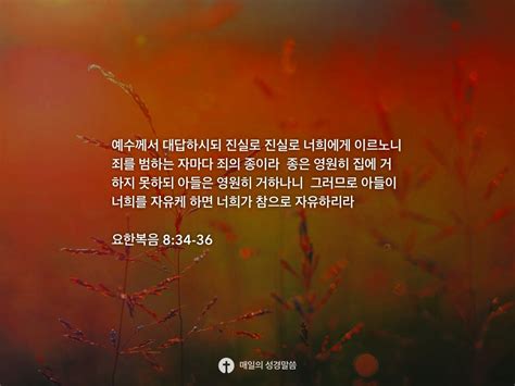 요한복음 834 36 Daily Bible Inspirations