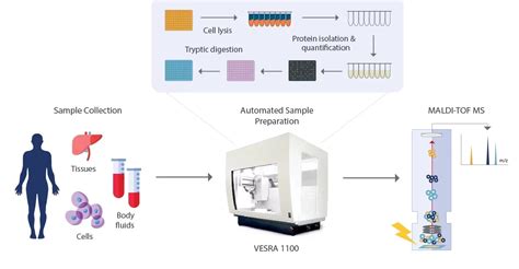 Automating Proteomics Sample Preparation