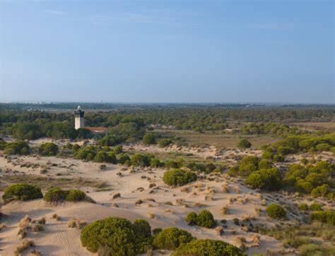 Camargue Gardoise Lighthouse Of Espiguette Grau Du Roi