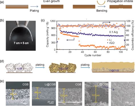 Dendrite suppression through 2D material-reinforced anode. (a) rGO... | Download Scientific Diagram