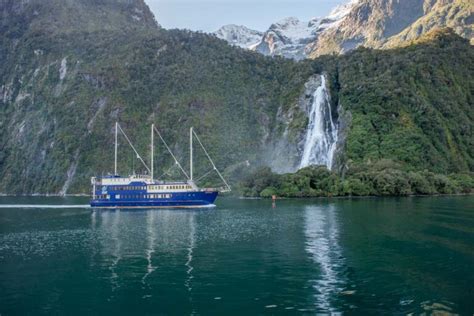 7 BEST Milford Sound Tours from Queenstown (2024 Review & Comparison Guide!)