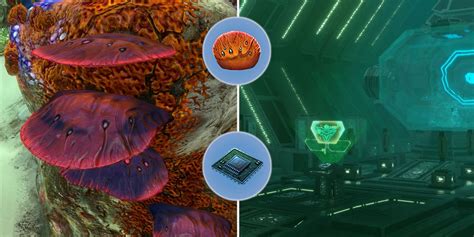 Subnautica Below Zero How To Grow Table Coral