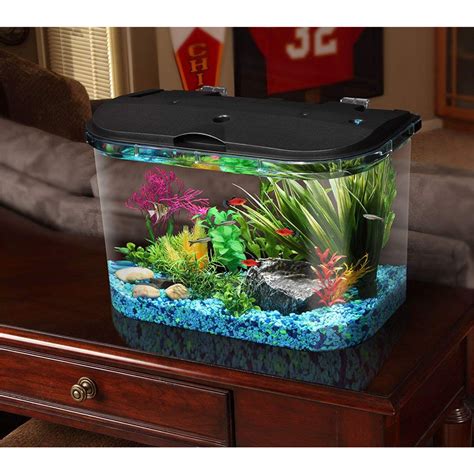 5 Gallon Fish Tanks