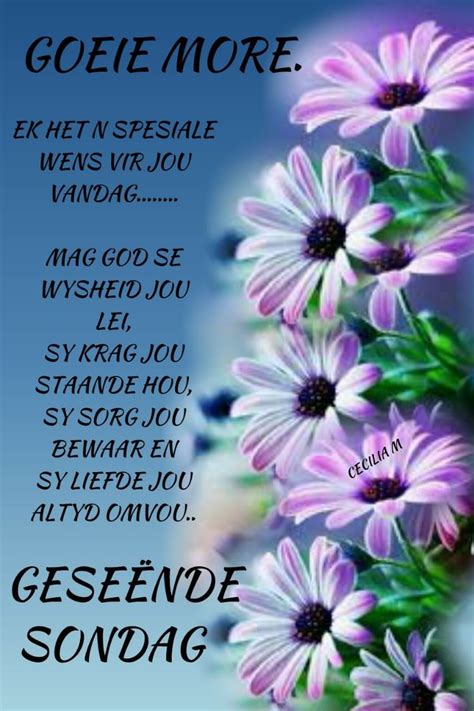 Pin By Celia Preez On Goeie Môre Good Night Messages Good Morning Quotes Afrikaanse Quotes