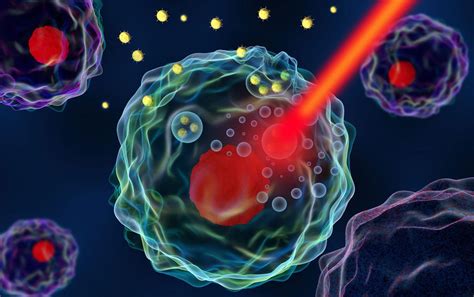 Selective Destruction Of Cancer Cells Through Autophagy Mechanism