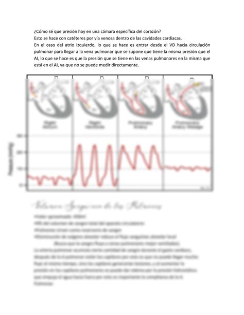 Solution Fisiolog A De La Circulaci N Pulmonar Studypool