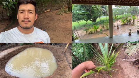 Chegou O Tempo De Fartura Vejam Como Est O Tanque De Peixe