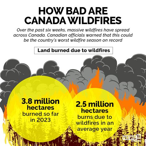 Canada Wildfires: How Bad is the Disaster and What is Behind This ...