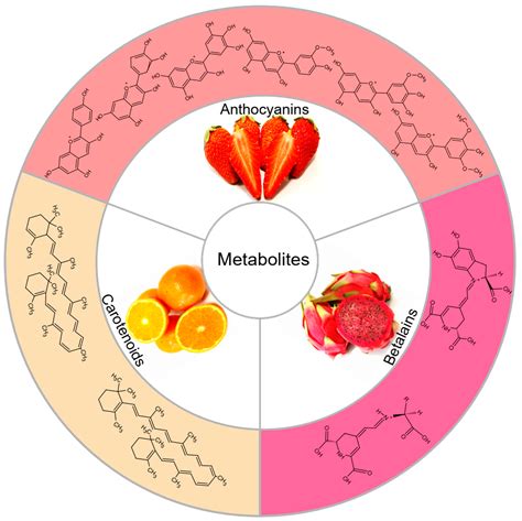 Regulation Mechanism of Plant Pigments Biosynthesis: Anthocyanins