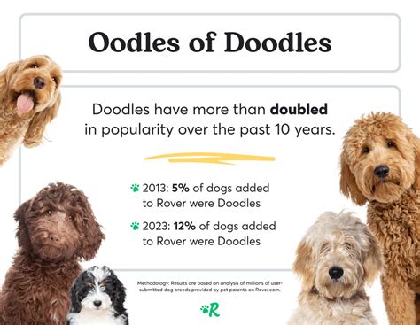 The Most Popular Dog Breeds in America in 2023 | Rover.com