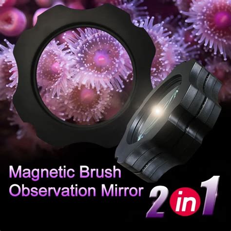 Power Rangers Naked Lido Kitchen