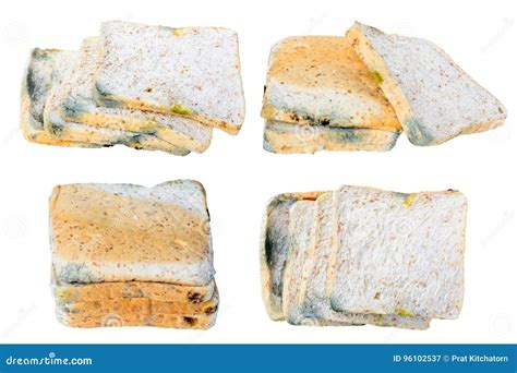 Mold on Bread Expired Isolated Stock Image - Image of mould, eating ...