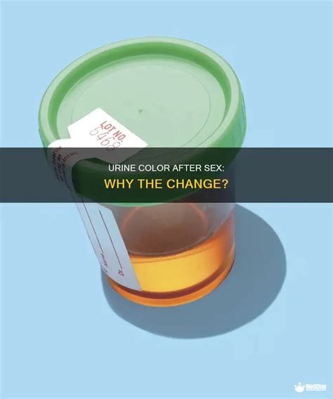 Urine Color After Sex Why The Change MedShun