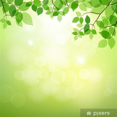 Póster Hojas verdes de fondo natural vector PIXERS ES