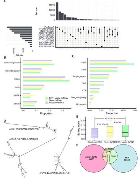 Characterization of novel dsRNA regions predicted by dsRID. (A) Upset ... 