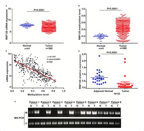 Rnf135 Expression And Methylation Levels And Analysis Of Their